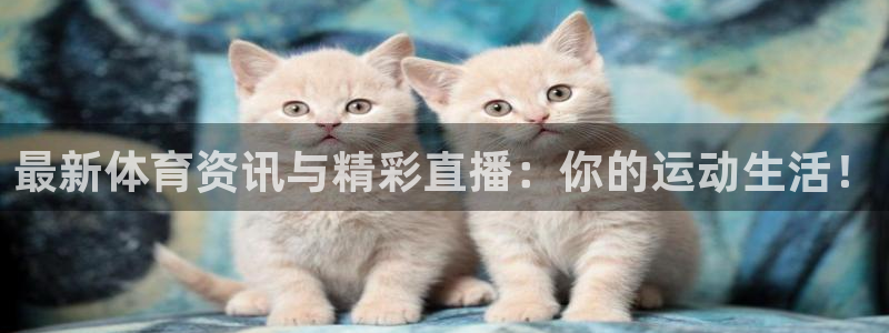 最新体育资讯与精彩直播：你的运动生活！