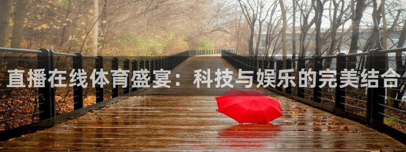 直播在线体育盛宴：科技与娱乐的完美结合