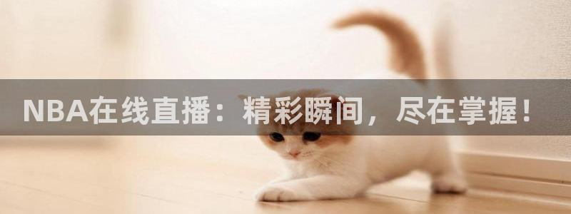 NBA在线直播：精彩瞬间，尽在掌握！