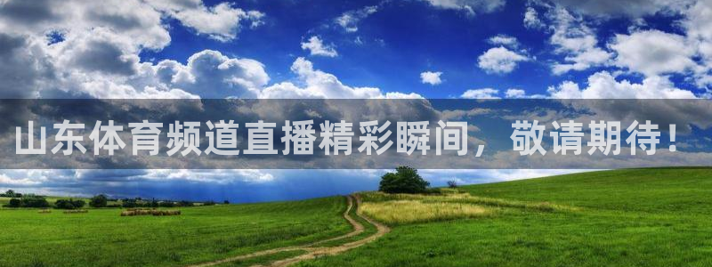山东体育频道直播精彩瞬间，敬请期待！