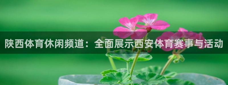 陕西体育休闲频道：全面展示西安体育赛事与活动
