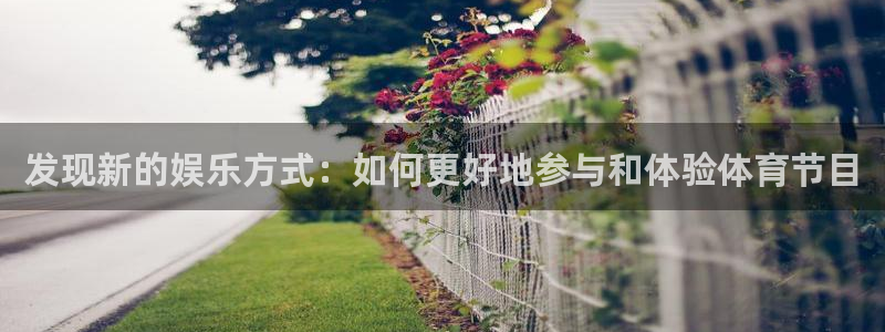 发现新的娱乐方式：如何更好地参与和体验体育节目