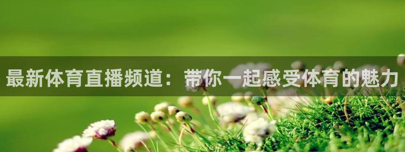 最新体育直播频道：带你一起感受体育的魅力