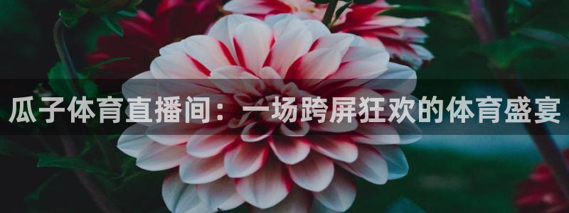 瓜子体育直播间：一场跨屏狂欢的体育盛宴