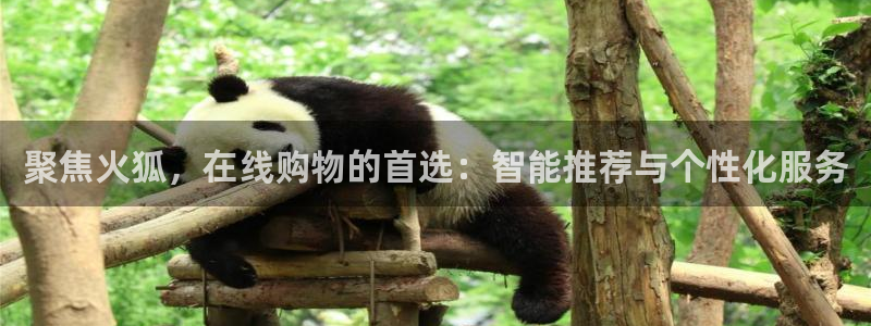 聚焦火狐，在线购物的首选：智能推荐与个性化服务