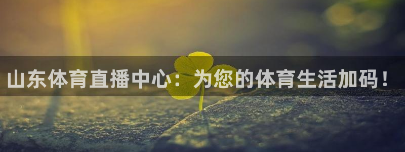 山东体育直播中心：为您的体育生活加码！
